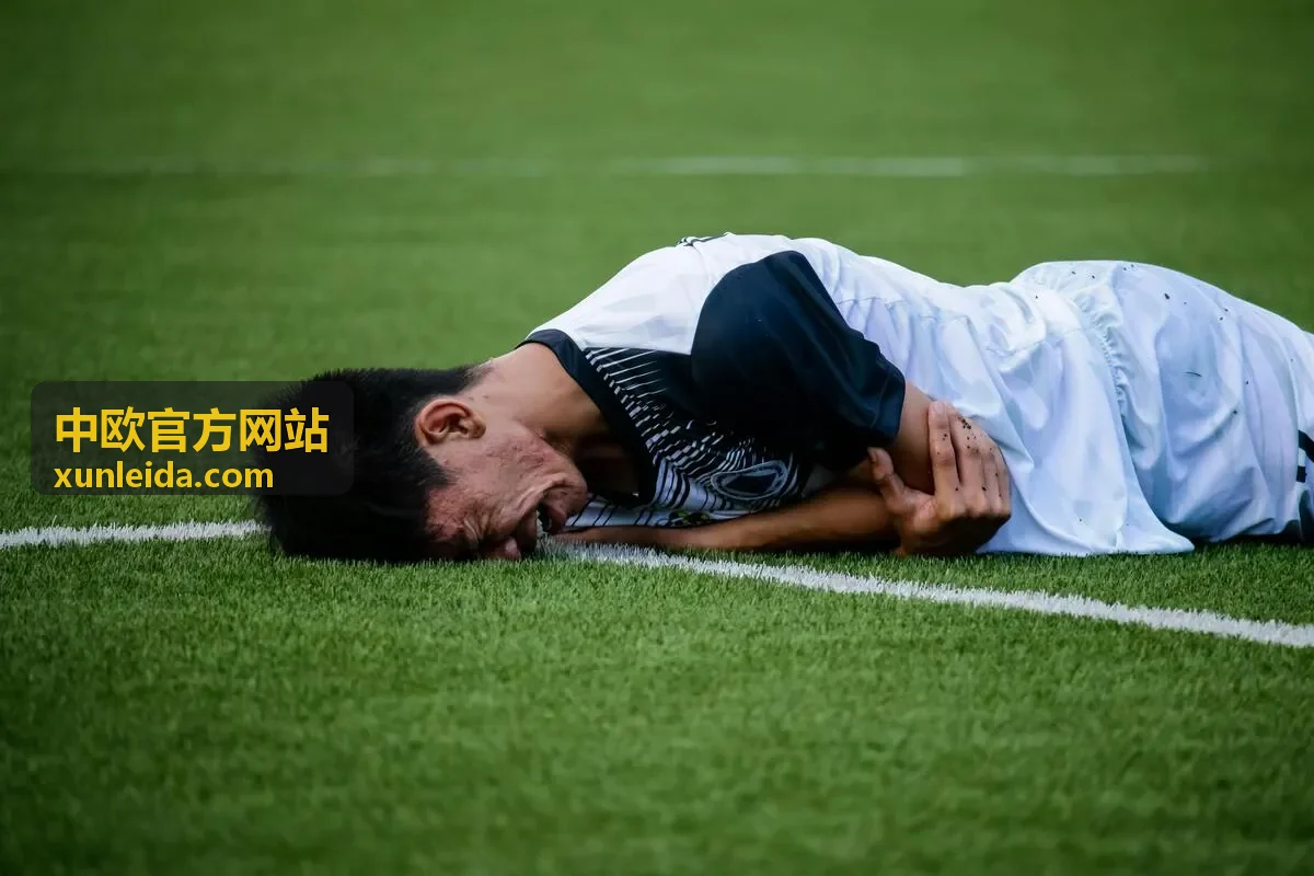 中欧官方网站—中欧市场与经贸资讯背景图